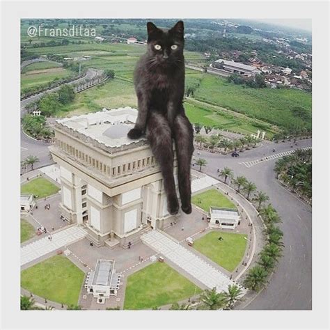 This Guy Photoshops Cats Into Giants And The Result Is Meow-nificent ...