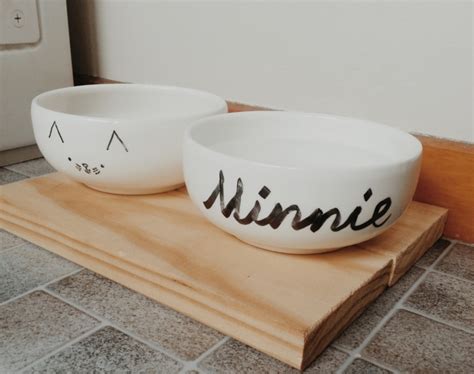 DIY: Hand Drawn Kitty Bowls | Diy cat bowl, Cat bowls, Diy