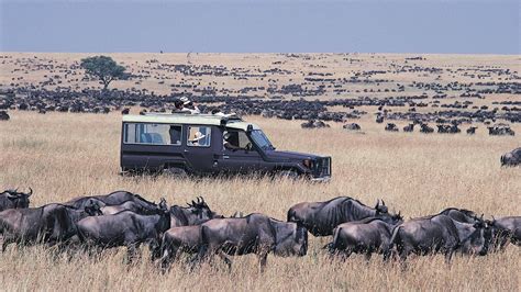 Maasai Mara Game Reserve Reopens after 4 Months - Kenyan Wall Street ...