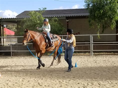 Western Horse Riding Lessons