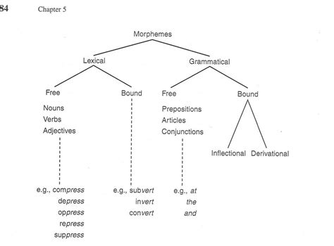 Morphological Tree Diagram Generator