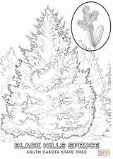 Tree Coloring Pages At GetColoringscom  Free Printable Colorings sketch template