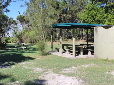 Lions Park day-use area | Bribie Island National Park and Recreation Area | Parks and forests ...