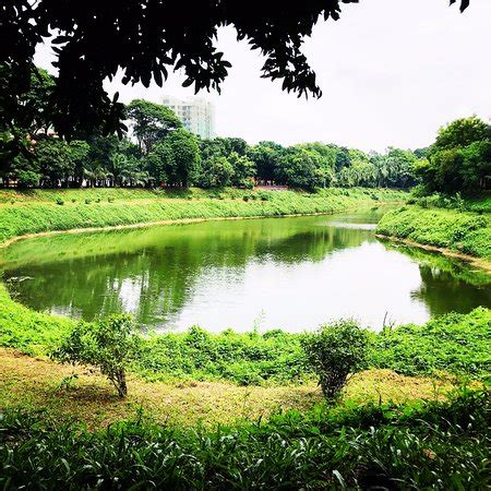 Gulshan Lake Park (Dhaka City): UPDATED 2019 All You Need to Know ...