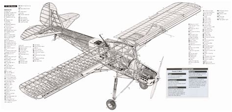 Asisbiz Fieseler Fi 156 Storch Artwork showing a cut away 3D ...