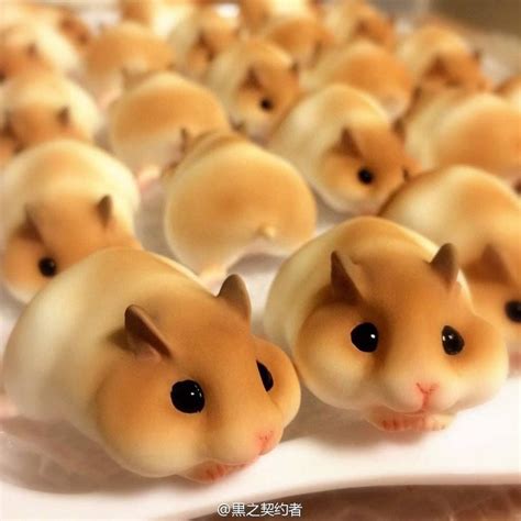 Pan japonés en forma de hamster es lo más kawaii de Internet