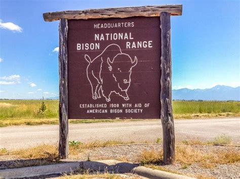 National Bison Range Of Montana, USA | BaldHiker