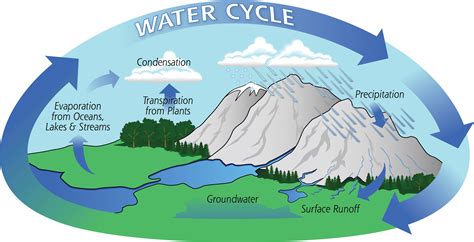 Water Cycle Printable Free With The Aid Of Our Water Cycle Worksheets, You Can Help Children ...