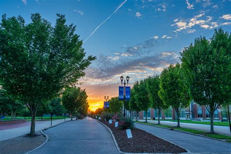 MTSU College of Graduate Studies on Twitter: "We are already halfway through our summer ...