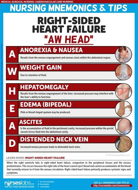 Pin by AlesiaCox on RN | Nursing mnemonics, Medical surgical nursing, Surgical nursing