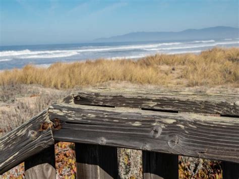 Pescadero State Beach: Everything You Need to Know