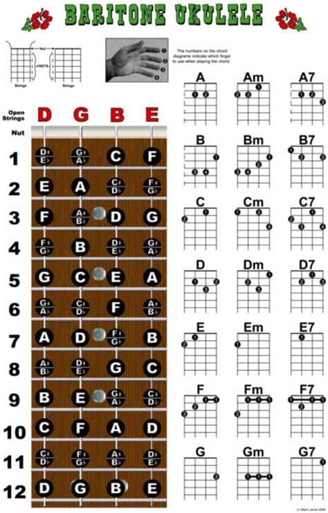 Baritone Ukulele Fretboard and Chord Chart Instructional Poster Bari ...