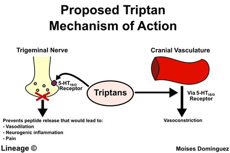 Sumatriptan - Neurology - Medbullets Step 2/3