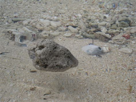 Underwater volcanoes eject magma which freezes to form bubble-filled ...