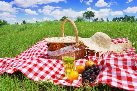 8 Company Picnic Ideas for Oregon