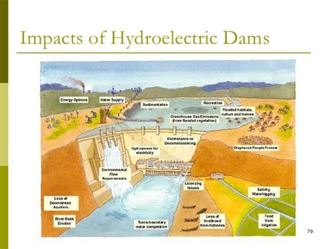 Impact Of Dams On Environment Pdf