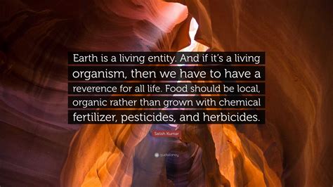 Satish Kumar Quote: “Earth is a living entity. And if it’s a living ...