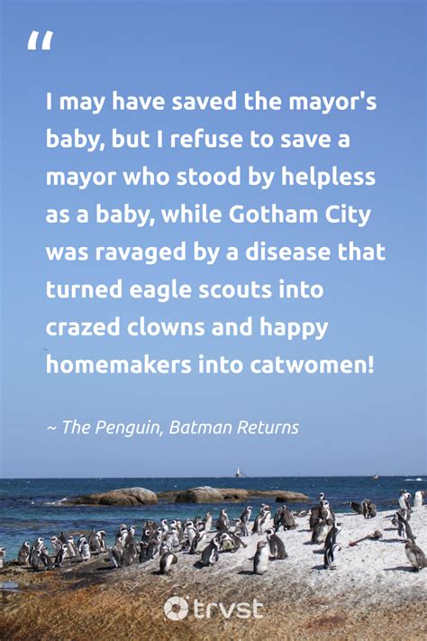 27 Penguin Quotes about the Monogamous Waddling Bird