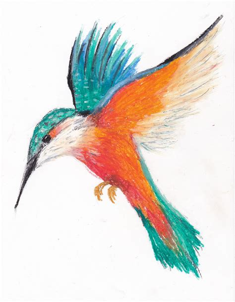 Oil Pastel Bird by riesirules on DeviantArt | Oil pastel drawings, Oil pastel art, Pastel art