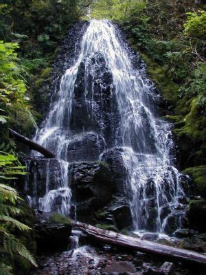 Fairy Falls Hike - Hiking in Portland, Oregon and Washington