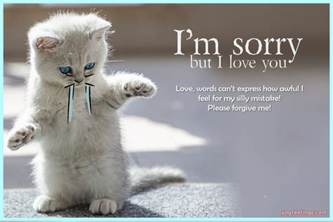 I Am Sorry Card For Lover With Cute Cat