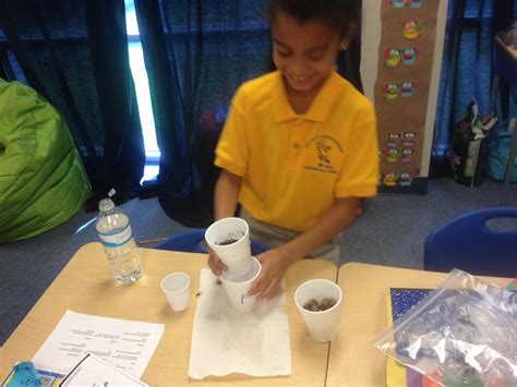 Classifying Soil - Miss Lawrence's Second Grade Class