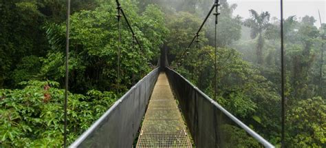 The BEST Alajuela Province, Costa Rica Nature & adventure 2023 - FREE Cancellation | GetYourGuide