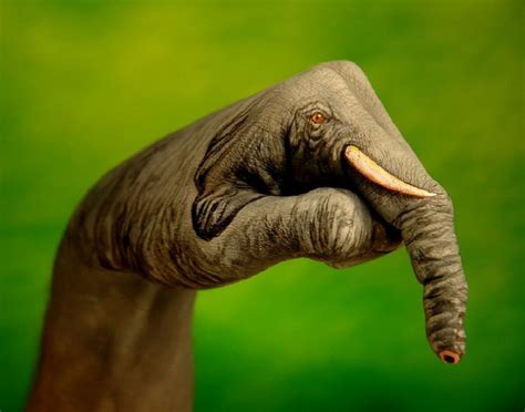 Stunningly Beautiful “Handimals” Paintings By Guido Daniele - ViewKick