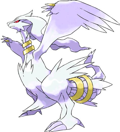 Reshiram Images | Pokemon Images