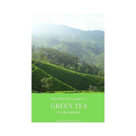 The Great Big Guide To The Most Popular Types Of Green Tea - Tea In ...