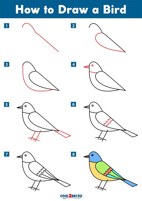 How To Sketch A Bird Easy at Drawing Tutorials