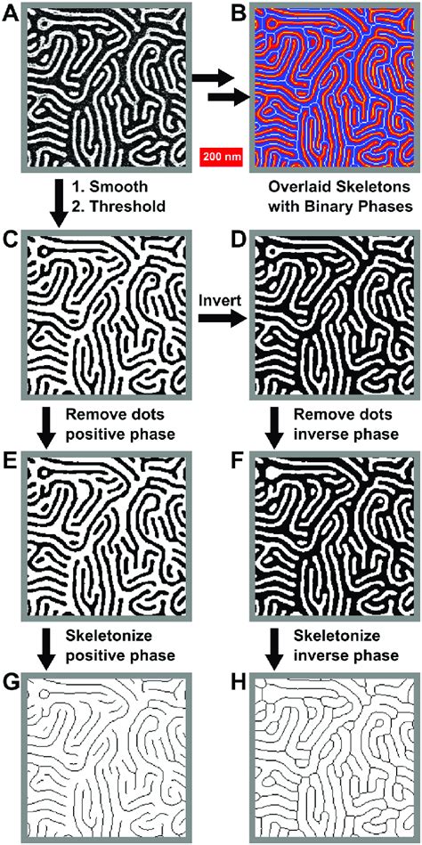 Process for the skeletonization of both positive and negative phases of... | Download Scientific ...