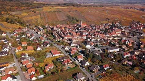 Flight Over Autumn Riquewihr Vineyards, Alsace, France., Stock Footage