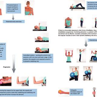 (PDF) Scapular dyskinesia: evolution towards a systems-based approach