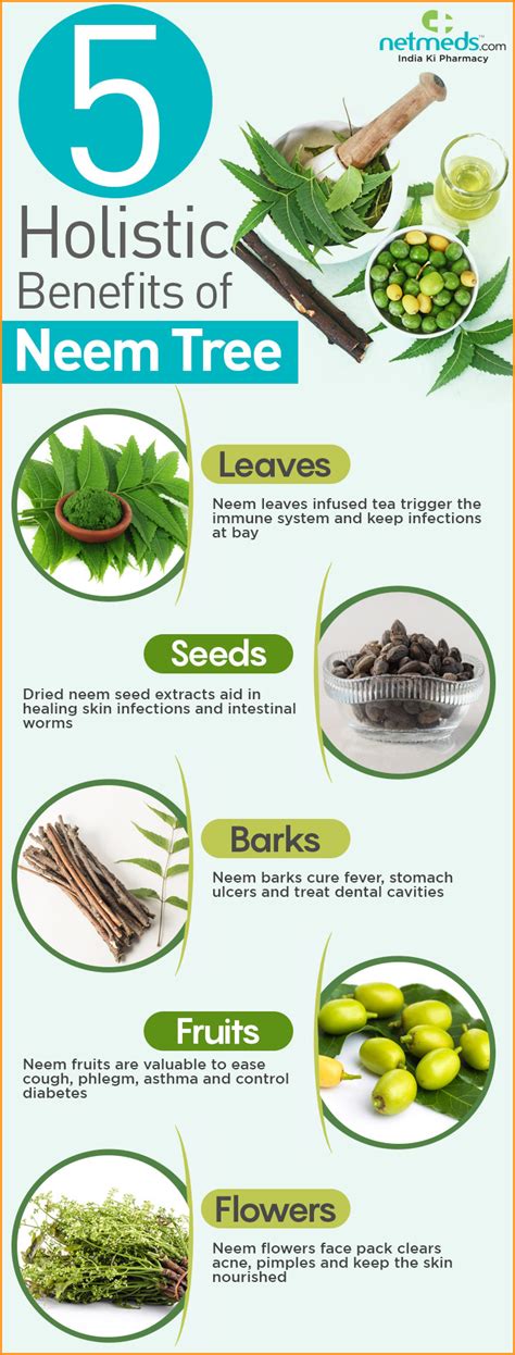 Neem: 5 Stupendous Healing Benefits Of This Wonder Tree -Infographic