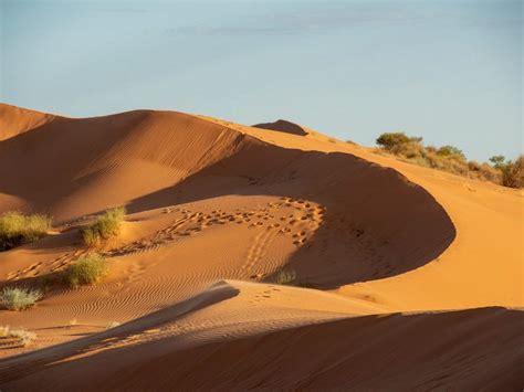 About the Simpson Desert (Munga-Thirri National Park)