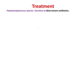 peptostreptococcus | PPT