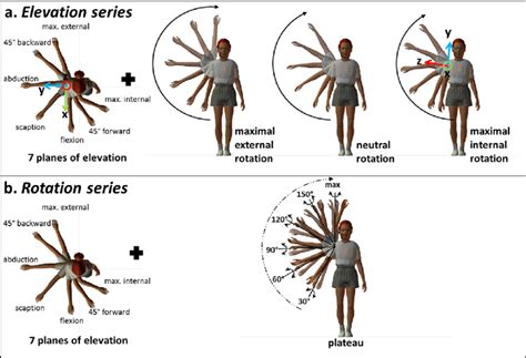 Shoulder Joint Movements