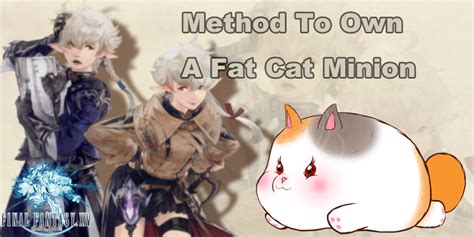 Final Fantasy XIV Guide: Method To Own A Fat Cat Minion - ffxiv4gil.com