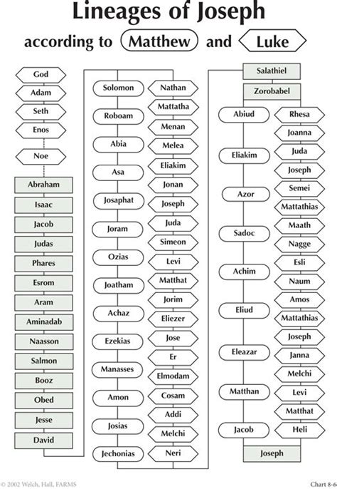 8-6 Lineages of Joseph | Bible study notebook, Bible study notes, Bible genealogy