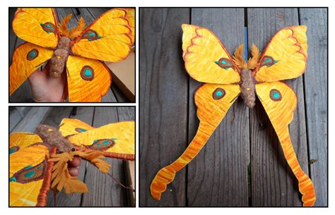 Comet Moth by treesforall on DeviantArt