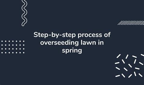 Maximize Your Lawn's Potential: Overseeding in Spring | HeyHome