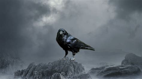 Crow Desktop Wallpapers on WallpaperDog