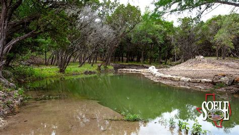 Texas Best Ranches | Giant Cypress Trees 100± Bandera County