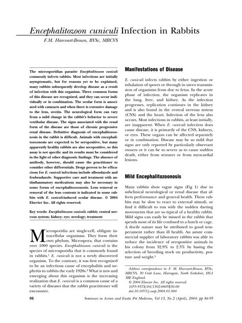 (PDF) Encephalitozoon cuniculi infection in rabbits