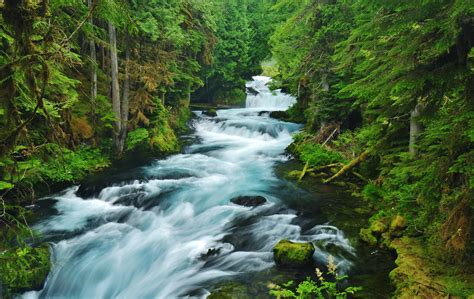 Unique Wallpaper: 14 Fotos de Paisajes Naturales, Bosques, Montañas y ...