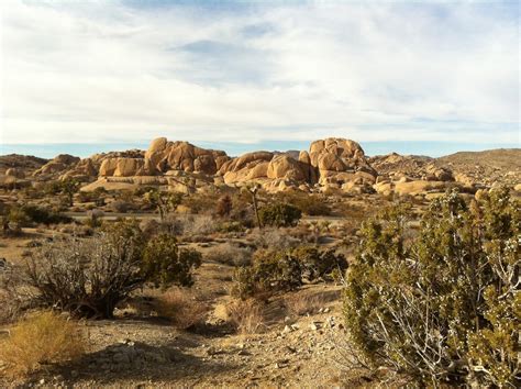 All This Is That: At Skull Rock in Joshua Tree National Park