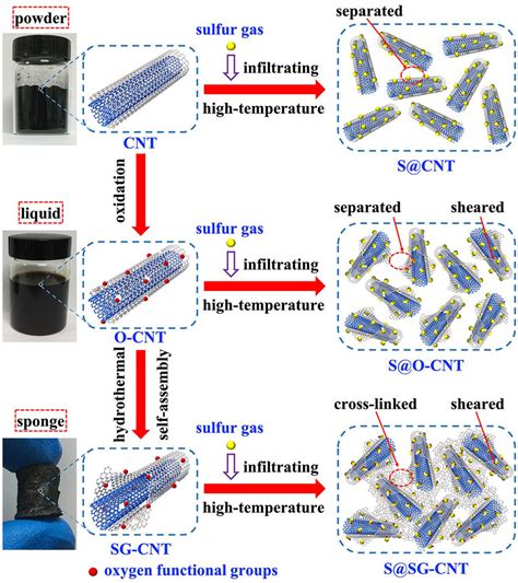 Schematic diagrams of the preparation processes of S@CNT, S@O-CNT, and ...