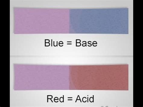 Understanding the Litmus Paper Test for Acids and Bases - YouTube