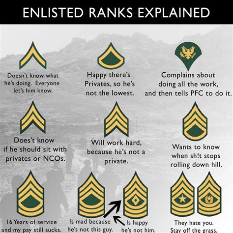 joed205: US MILITARY RANK EXPLAINED